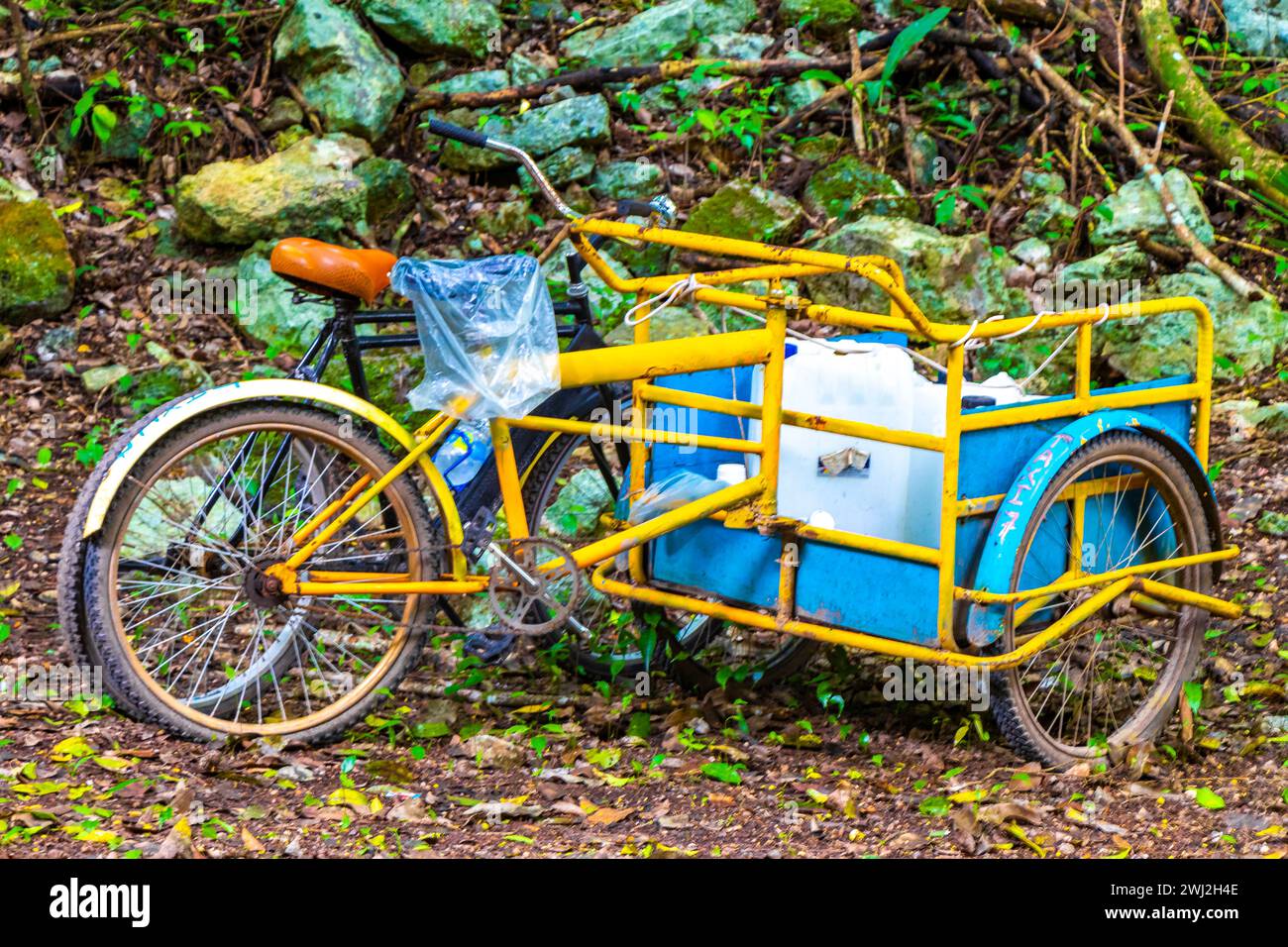 Rent a bike bicycle tricycle and ride through the jungle Coba Ruins
