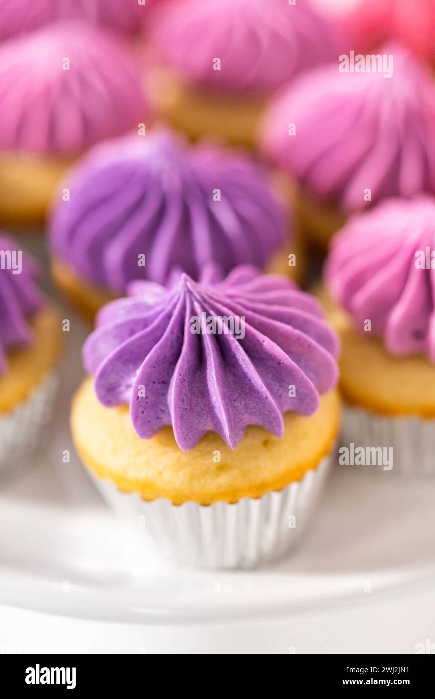 Mini Vanilla Cupcakes with Pink Buttercream Frosting Stock Photo - Alamy