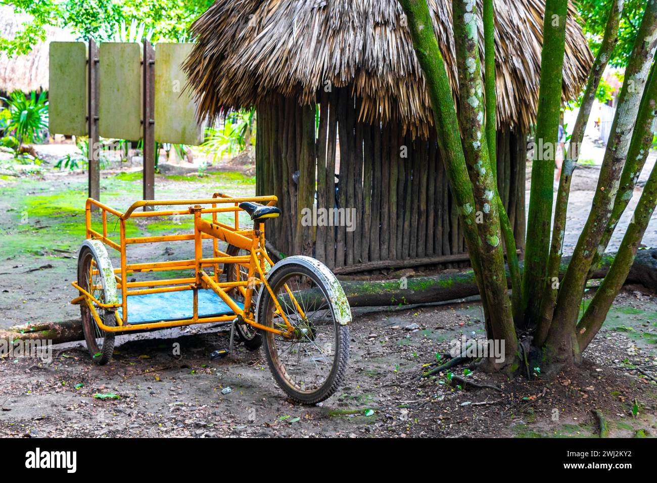 Rent a bike bicycle tricycle and ride through the jungle Coba Ruins