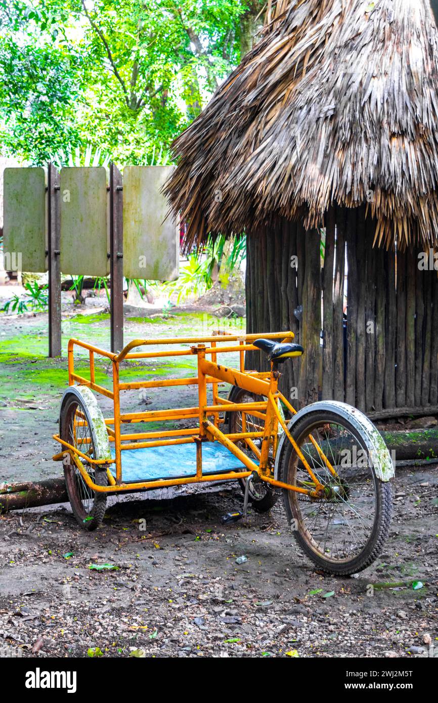 Rent a bike bicycle tricycle and ride through the jungle Coba Ruins