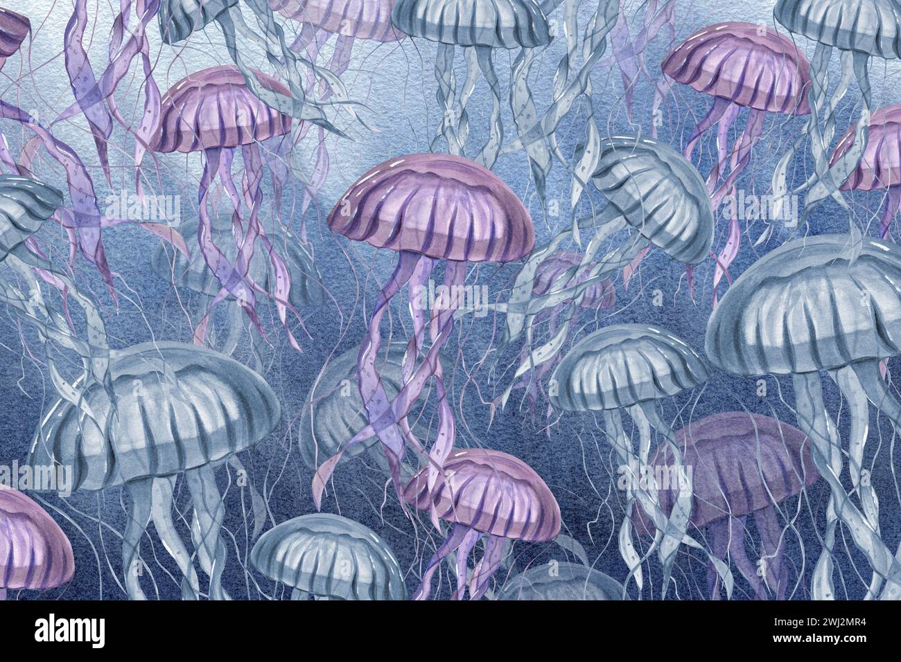 Swimming jellyfish in blue water. Blue and violet medusa. Flock of jellyfish with long poisonous