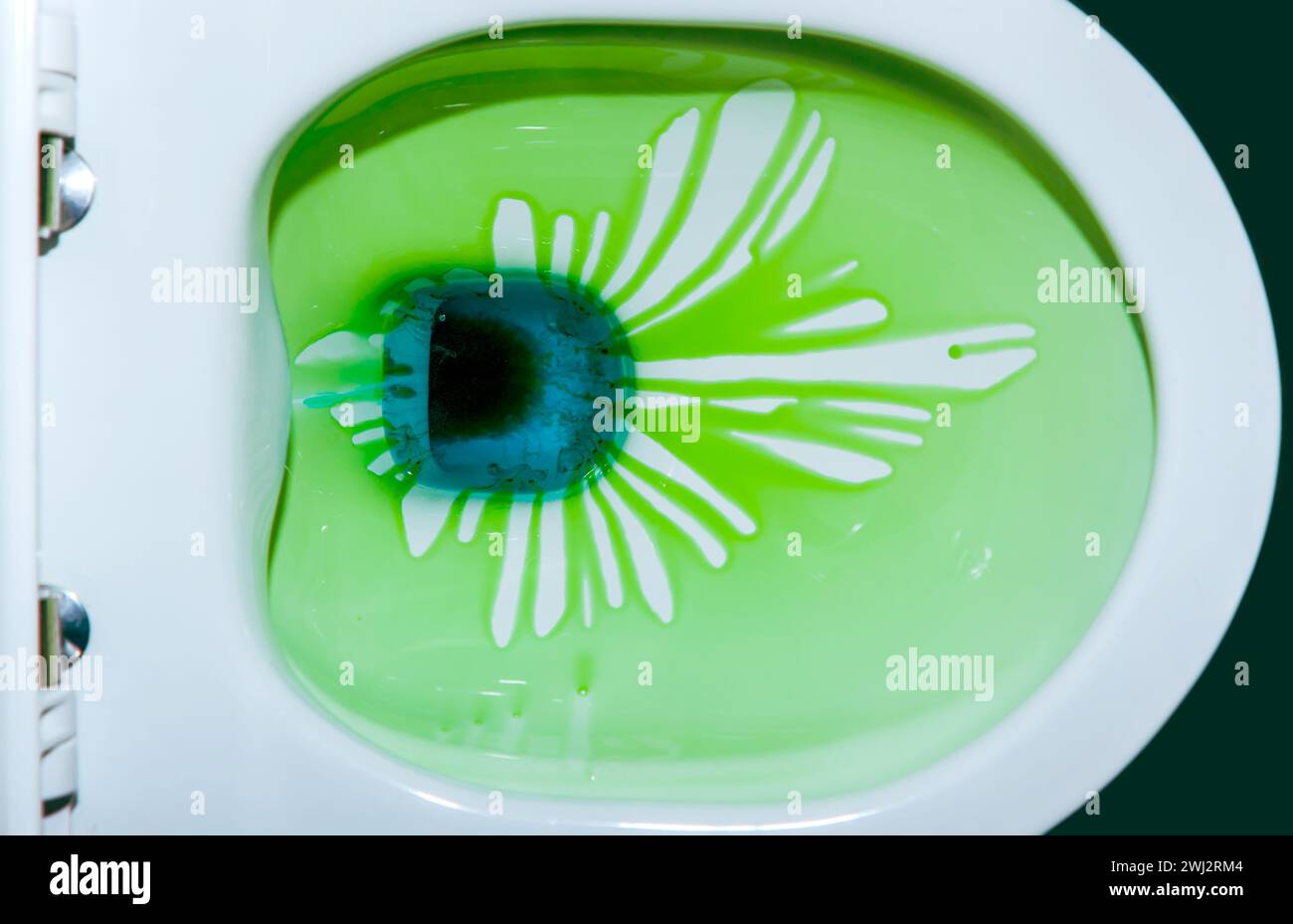 Toilet bowl with green cleaning fluid. cleaning Toilet close-up. Environmental pollution concept Stock Photo