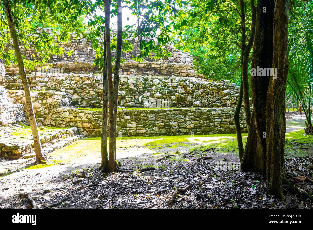 Coba Maya Ruins The Ancient Buildings And Pyramids In The Tropical coba-maya-ruins-the-ancient-buildings-and-pyramids-in-the-tropical