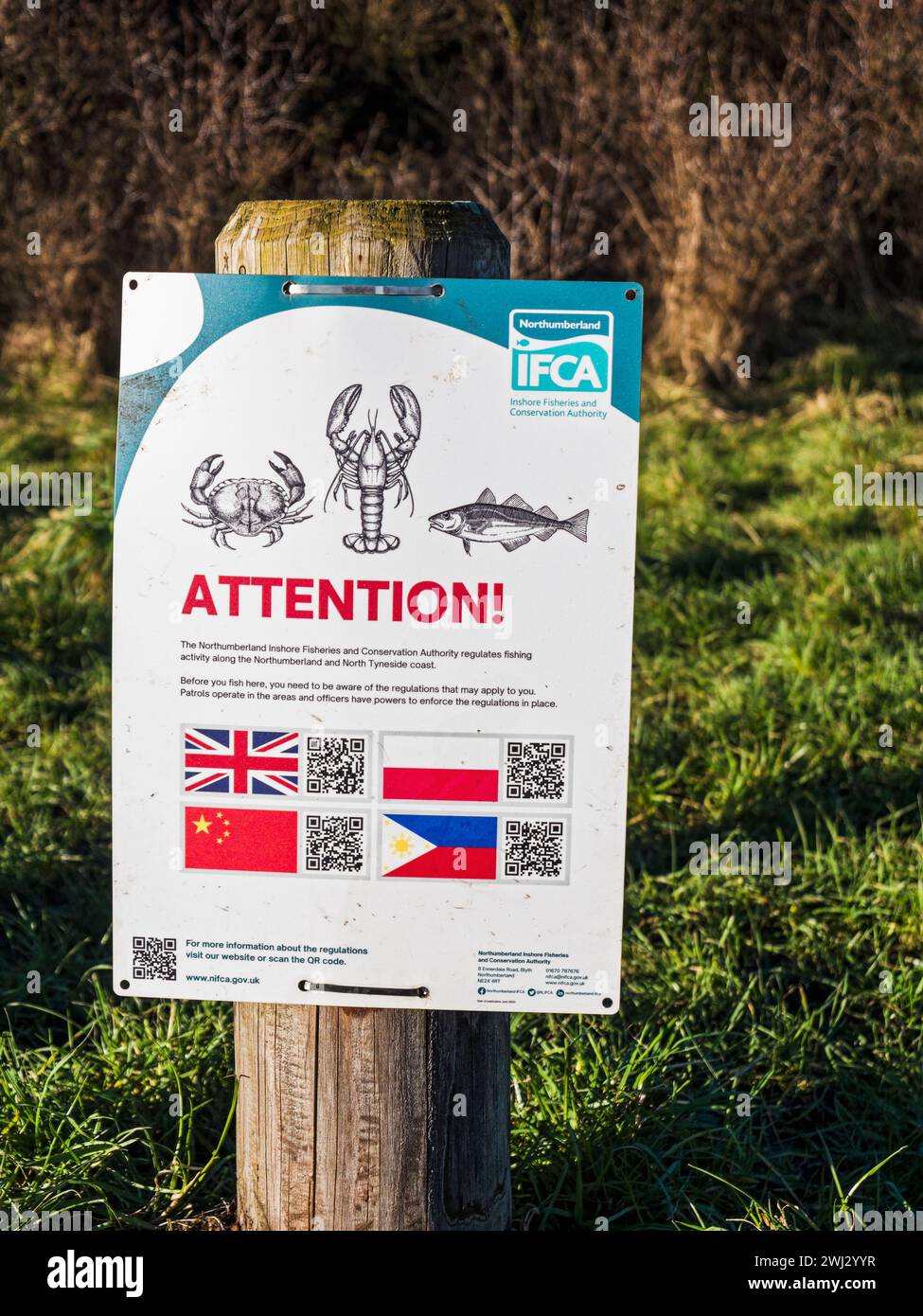 Inshore Fisheries and Conservation Authority sign at Cambois beach, Northumberland, UK Stock Photo