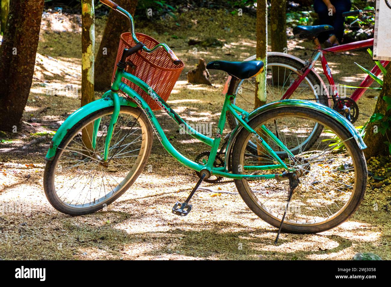 Coba Quintana Roo Mexico 01. October 2023 Rent a bike bicycle tricycle and ride through the jungle Coba Ruins Adventure in Coba Municipality Tulum Qui Stock Photo