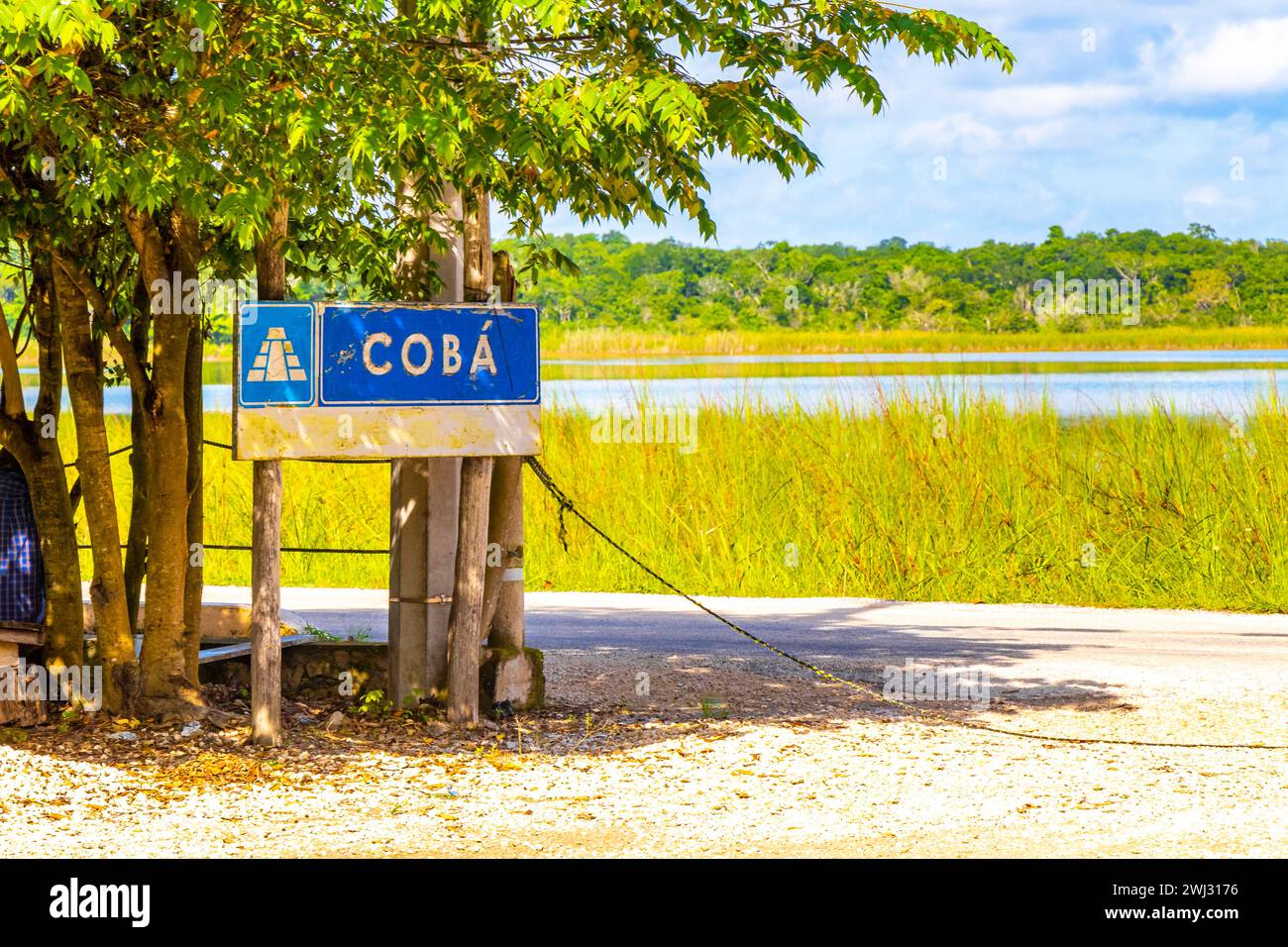 Coba Maya Ruins the ancient buildings and pyramids entrance welcome sign in the tropical forest jungle in Coba Municipality Tulum Quintana Roo Mexico. Stock Photo
