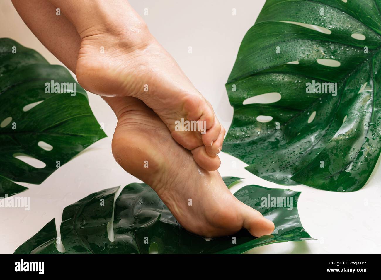 Wet female feet with smooth skin and tropical leaves Stock Photo