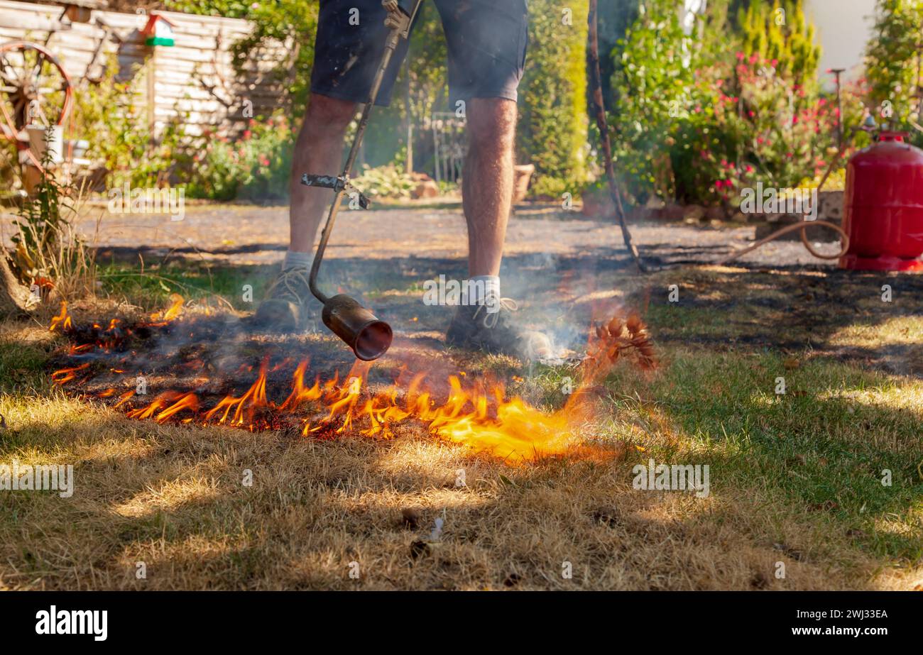 Weed killer burn hires stock photography and images Alamy