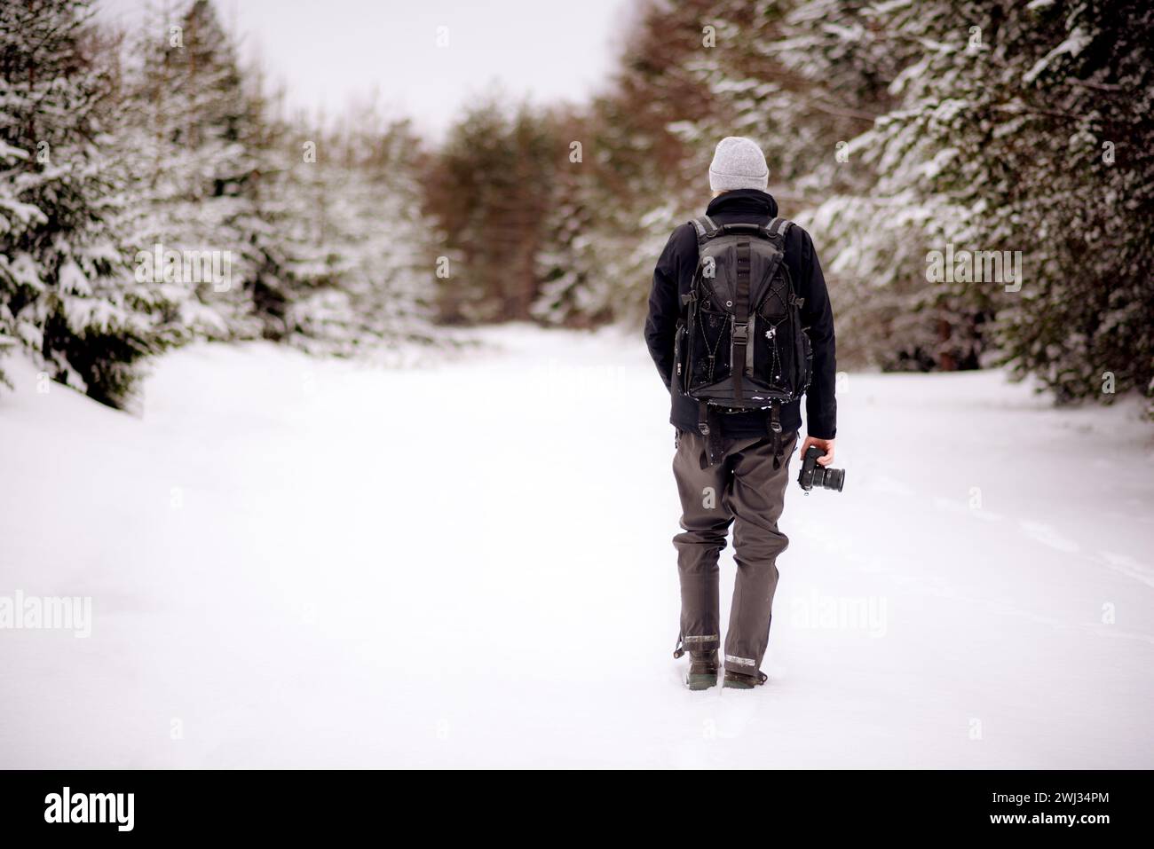 Back view of hiker in snowy winter forest. Male backpacker walking in snowy forest holding a camera Stock Photo