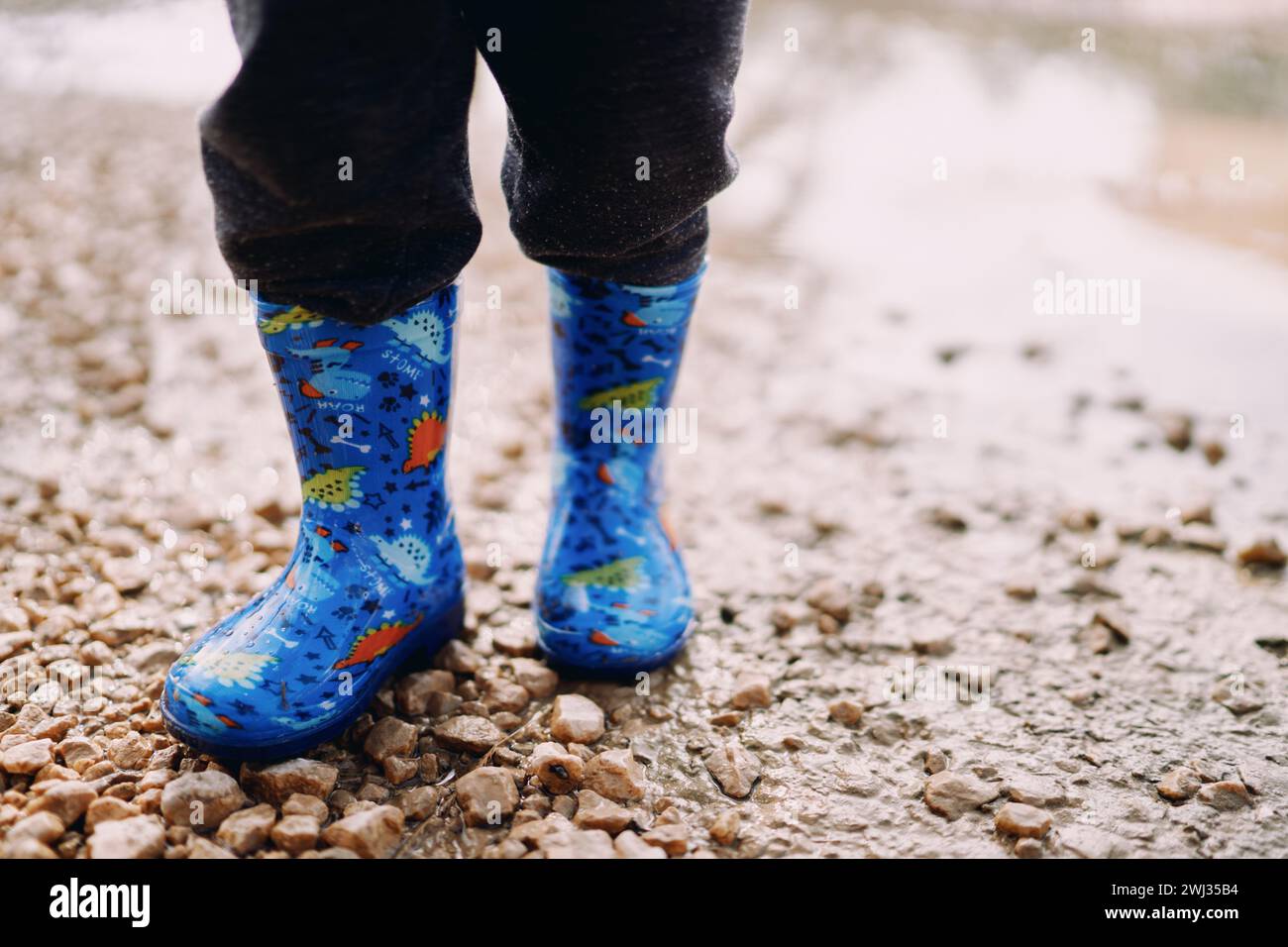 Small child in colorful rubber boots stands on gravel in a puddle. Cropped. Faceless Stock Photo