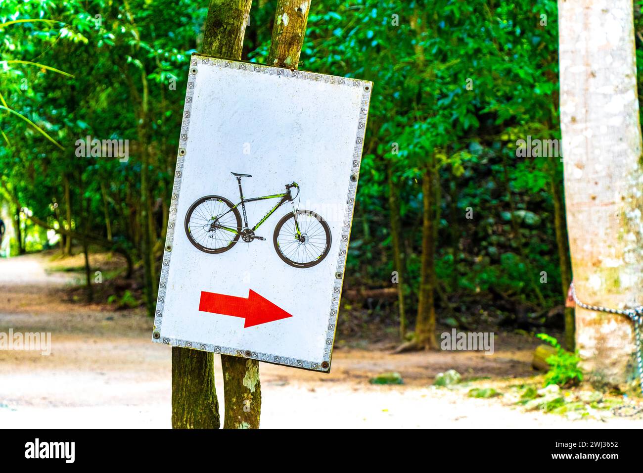 Rent a bike bicycle tricycle sign arrow information board direction in Coba Municipality Tulum Quintana Roo Mexico. Stock Photo