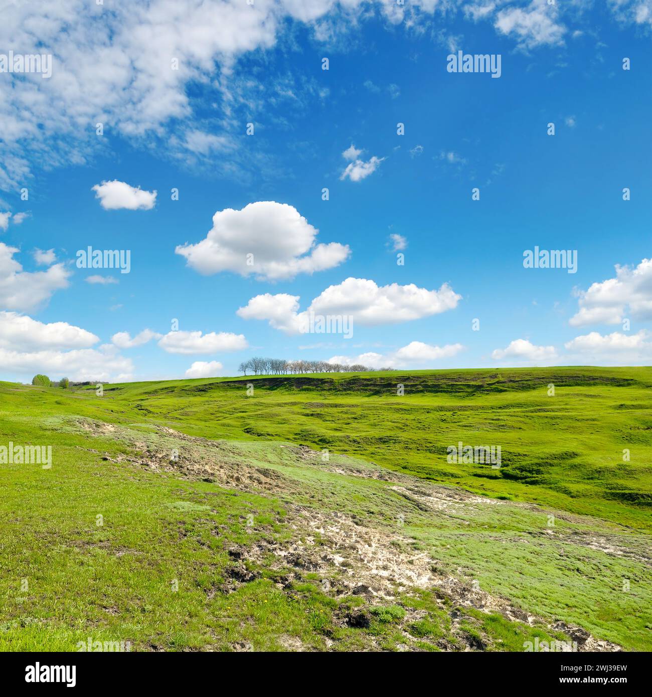 Large ravine on agricultural land. Soil erosion. Stock Photo