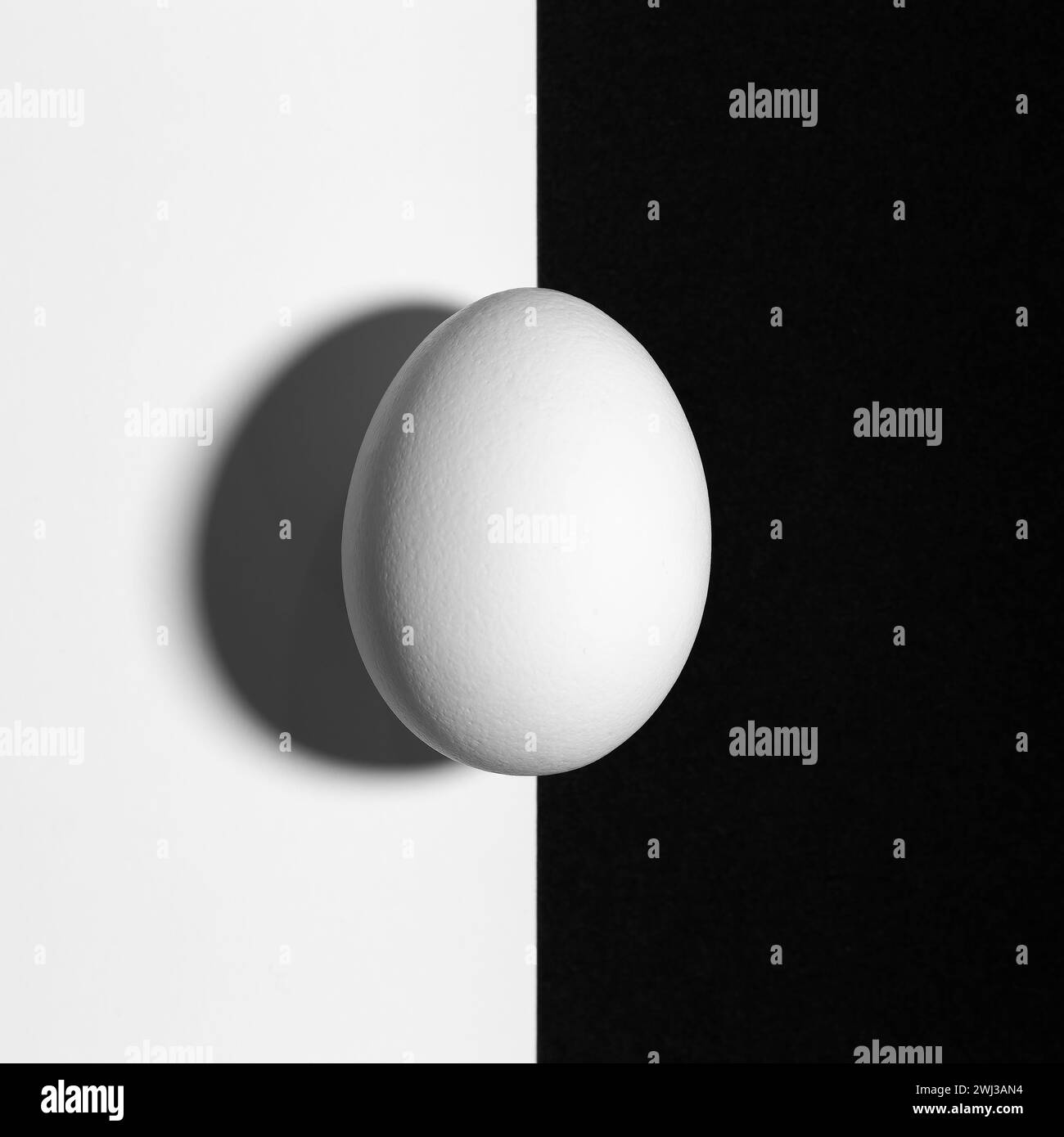 Black and white split screen with egg and shadow with copy space Stock Photo