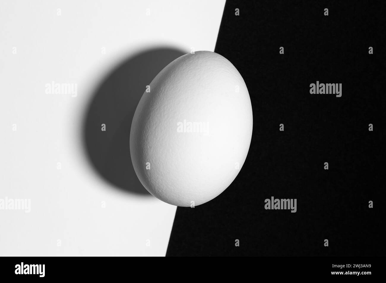 Black and white split screen with egg and shadow with copy space Stock Photo