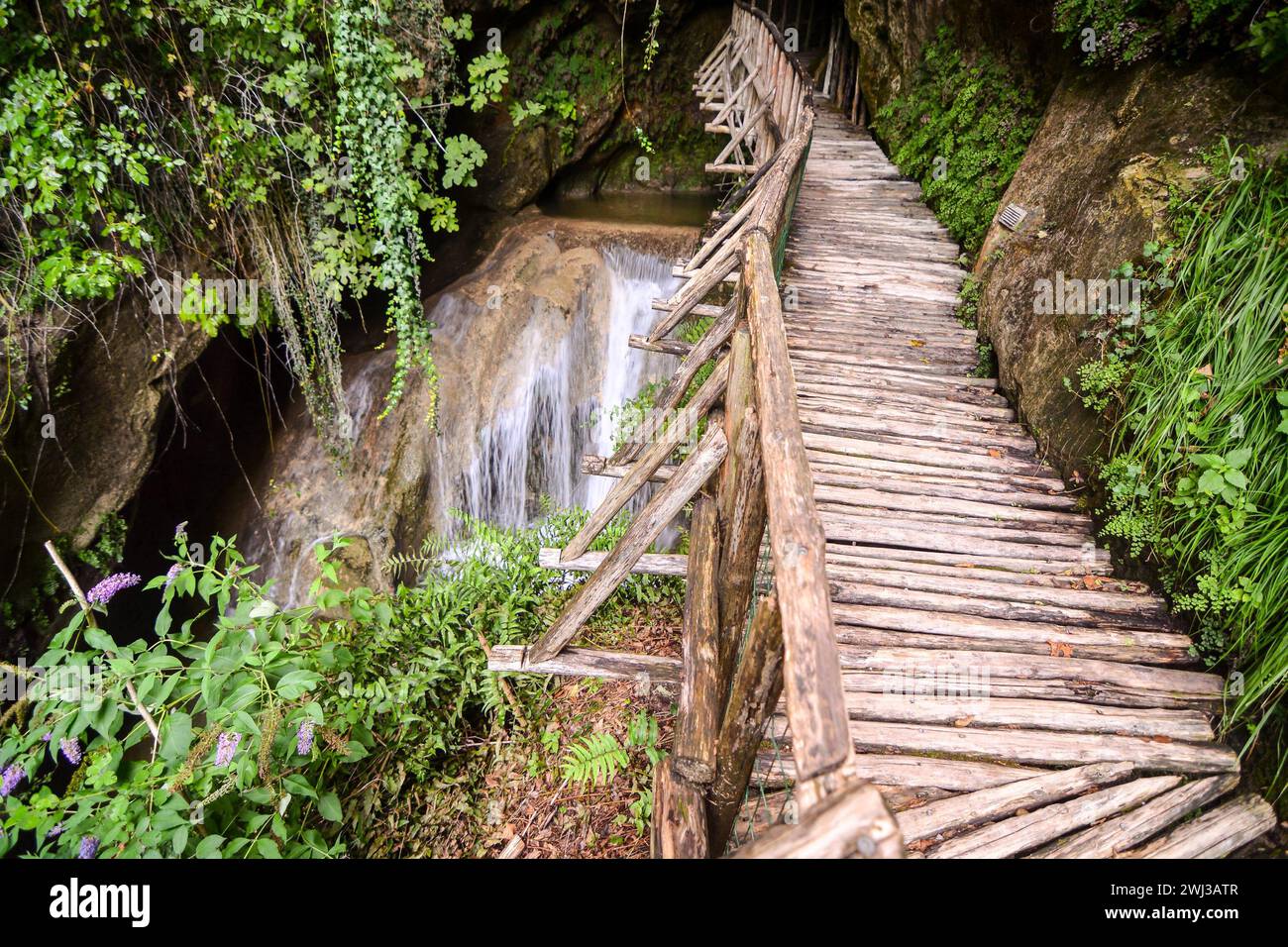 Pathway Wooden Footbridge, Wood Bridge in the jungle Stock Photo