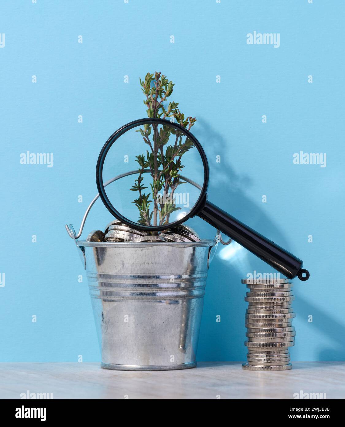 Coins in a small bucket and a plant, income growth concept Stock Photo