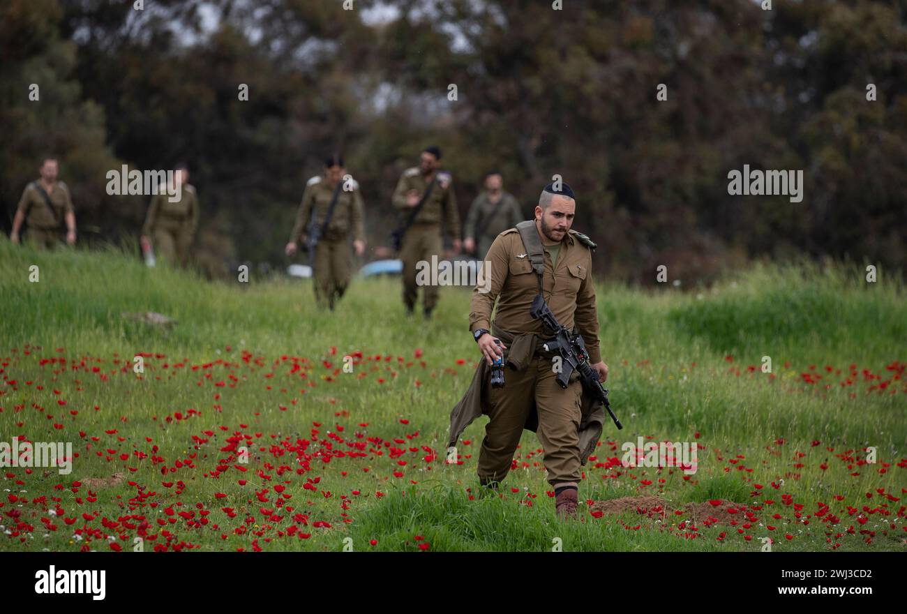 Gaza Poppy Israeli soldiers walk through poppy flowers on February 12, 2024 as ...