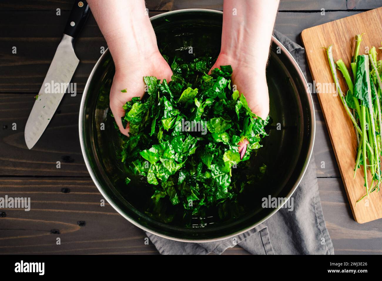 Massaging Chopped Tuscan Kale Leaves in Olive Oil: Hands holding chopped lacinato kale leaves massaged in extra virgin olive oil Stock Photo