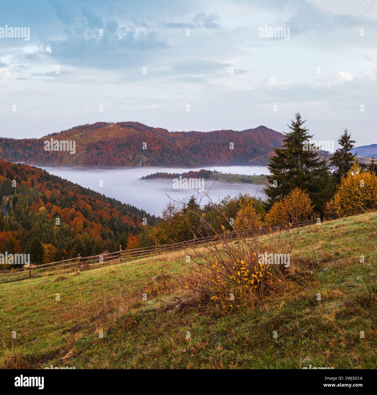 Foggy early morning autumn mountains scene. Peaceful picturesque traveling, seasonal, nature and countryside beauty concept scen Stock Photo