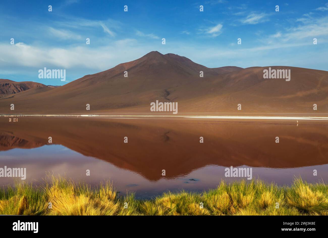 Lake In Bolivia Stock Photo Alamy lake-in-bolivia-stock-photo-alamy