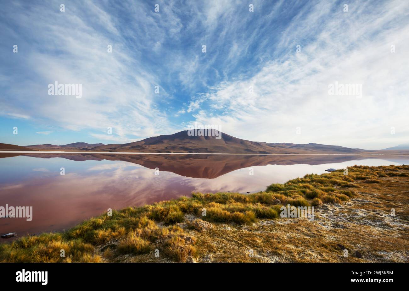 Lake In Bolivia Stock Photo Alamy lake-in-bolivia-stock-photo-alamy