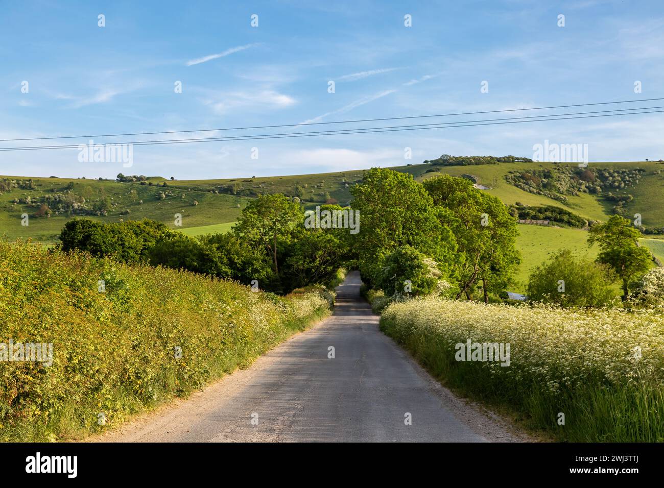 A green Sussex landscape on a late May day, with a blue sky overhead Stock Photo