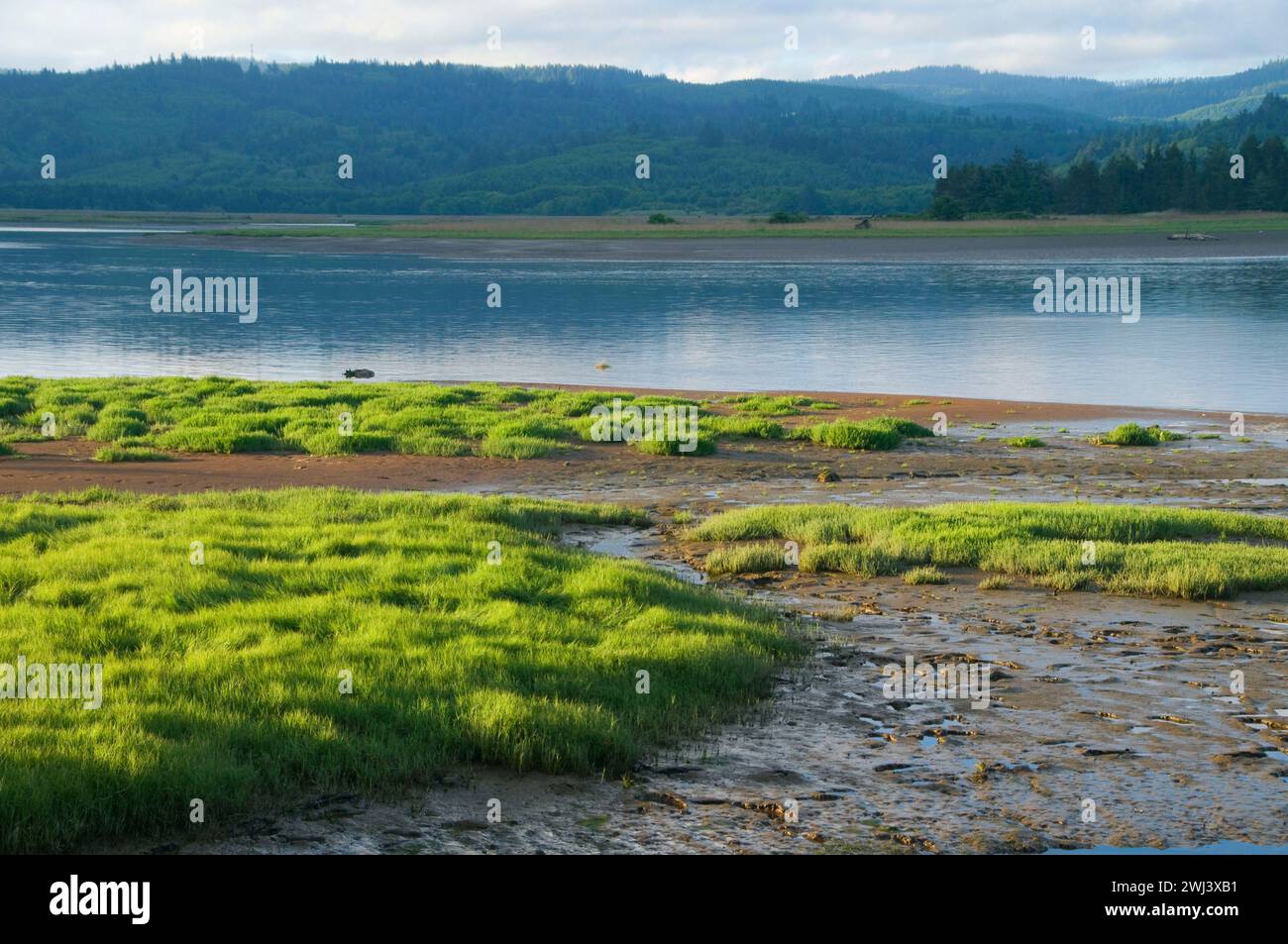 Salmon River estuary, Knight Park, Oregon Stock Photo Alamy