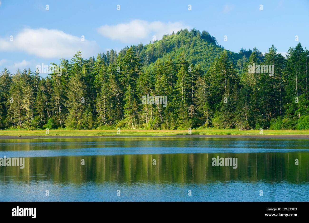 Salmon River estuary, Knight Park, Oregon Stock Photo Alamy