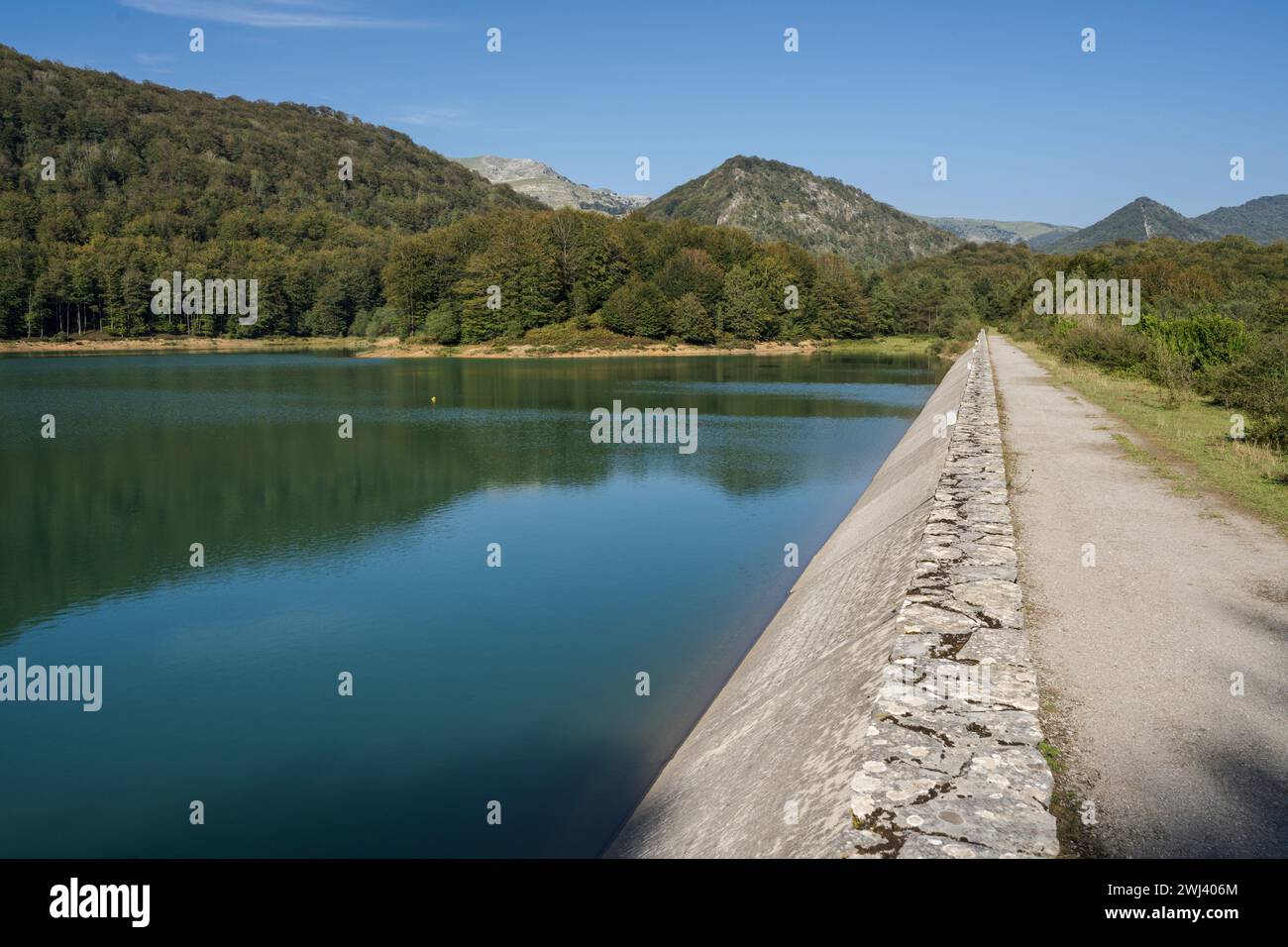 Artificial trees carbon hires stock photography and images Alamy