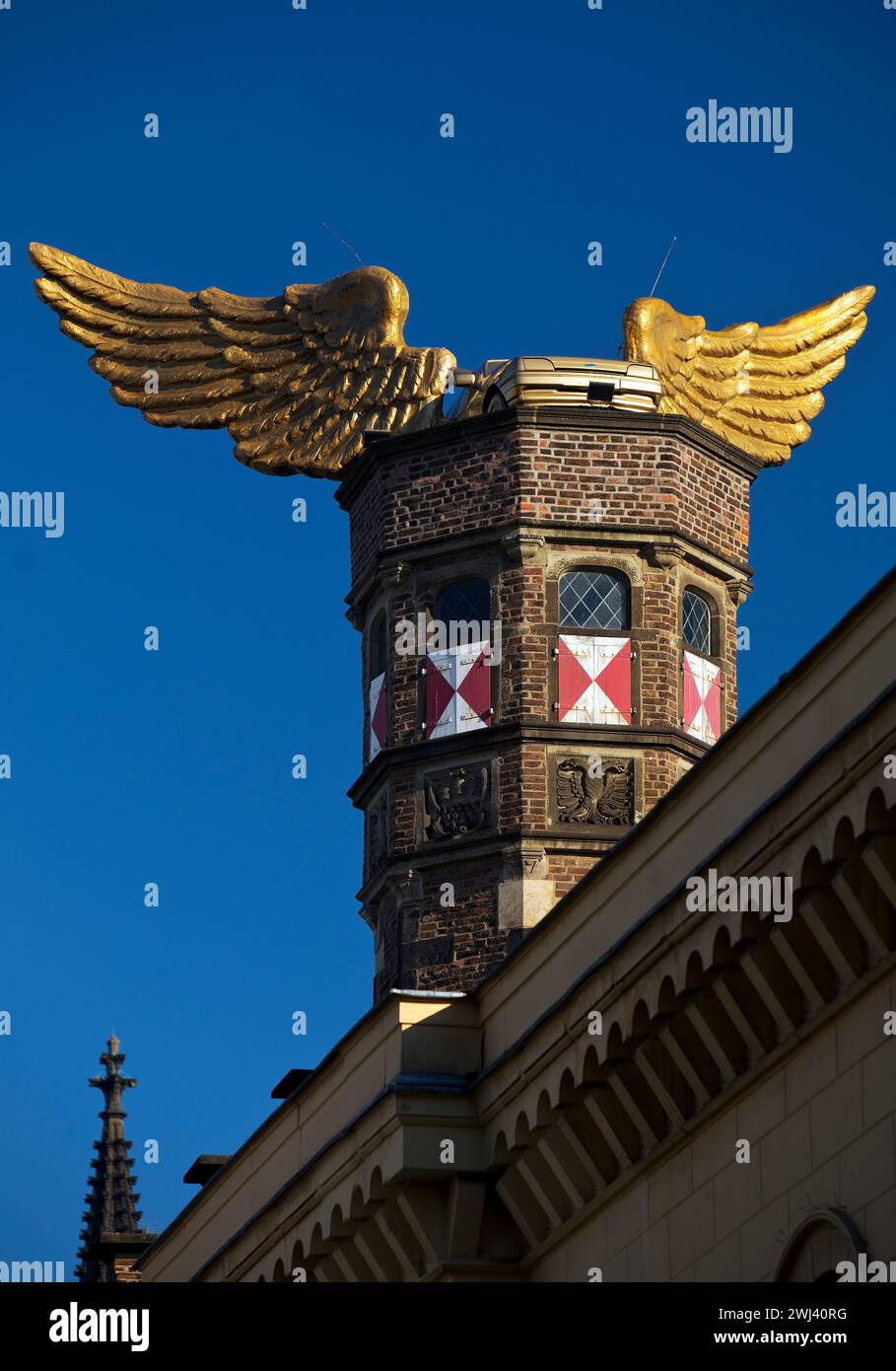 Ford wing car on the roof, Cologne City Museum, artist H.A.Schult, Cologne, Germany, Europe Stock Photo