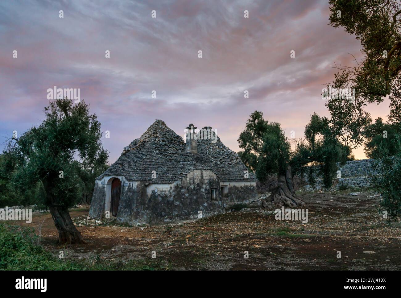 View of a typical Trullo limestone house in an olive orchard in the Istria Valley in Apulia Stock Photo