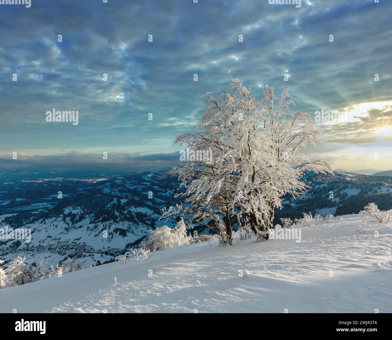 Winter mountain snowy evening landscape Stock Photo