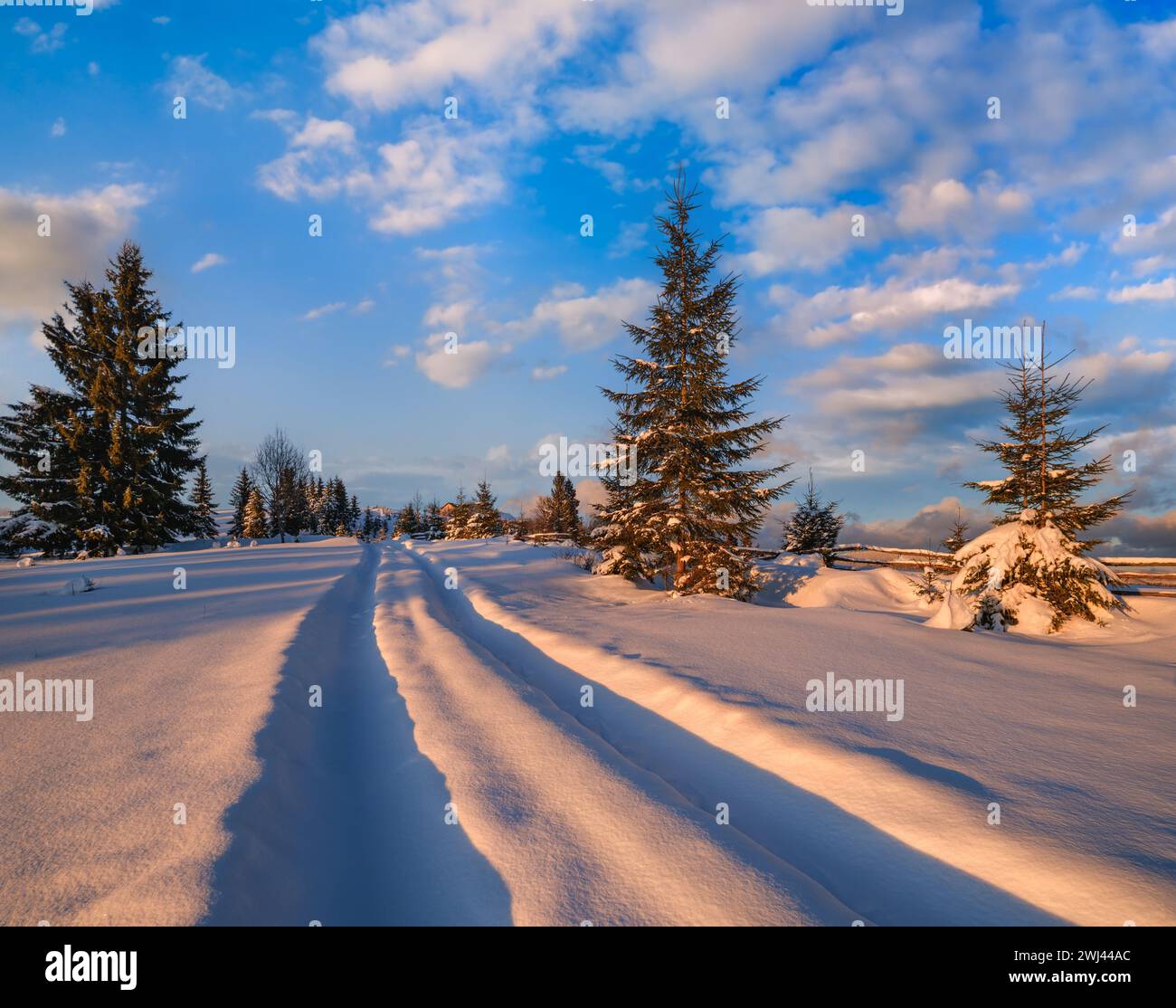 Winter snowy hills, tracks on rural dirt road and trees in last evening sunset sun light. Small and quiet alpine village outskir Stock Photo