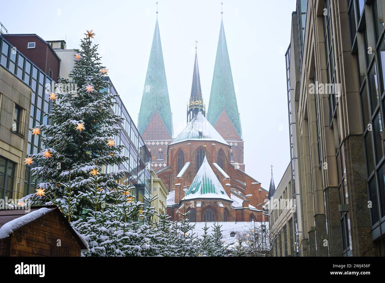 Fir trees with shining stars at the Christmas market behind the Marienkirche (meaning St. Mary church) on a snowy winter day in Stock Photo