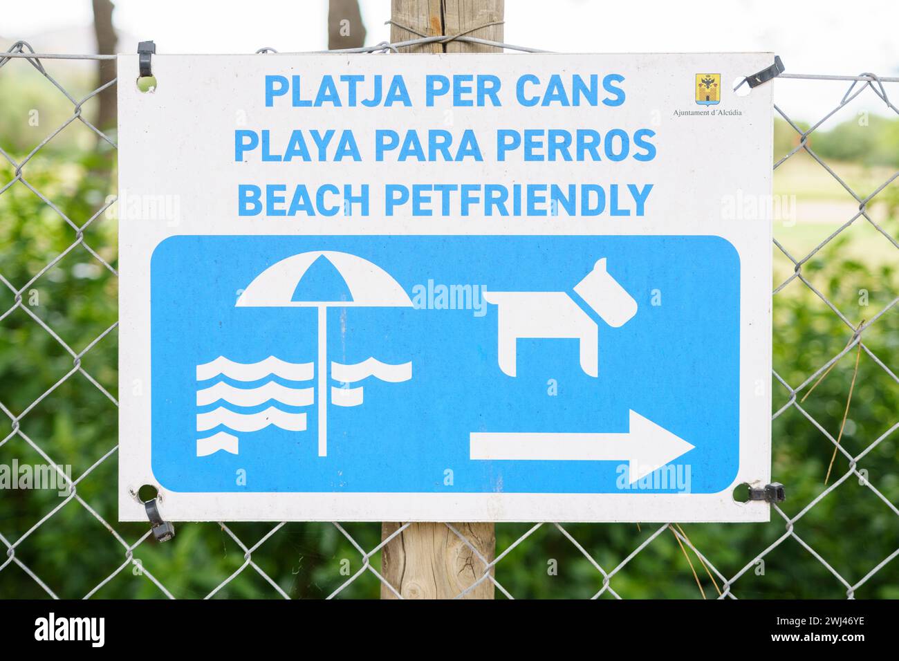 Poster announcing beach for dogs Stock Photo