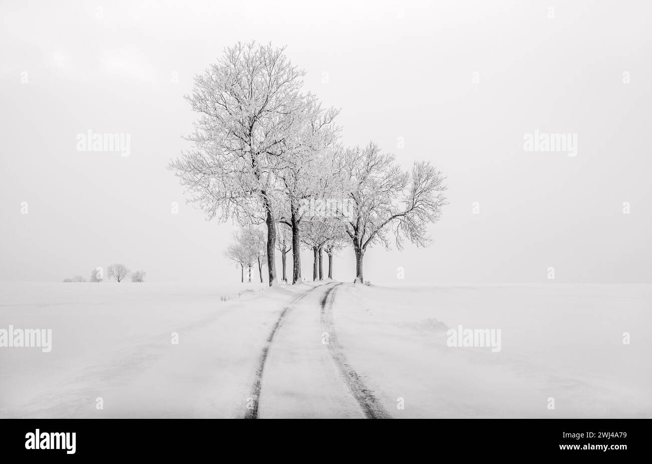 Trees and highways hi-res stock photography and images - Alamy