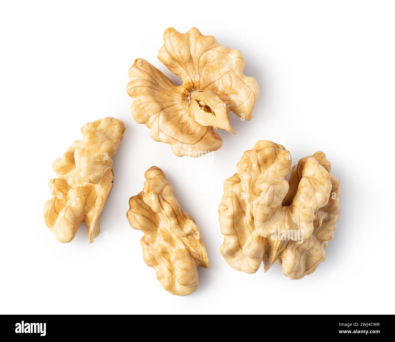Walnut on white background Stock Photo