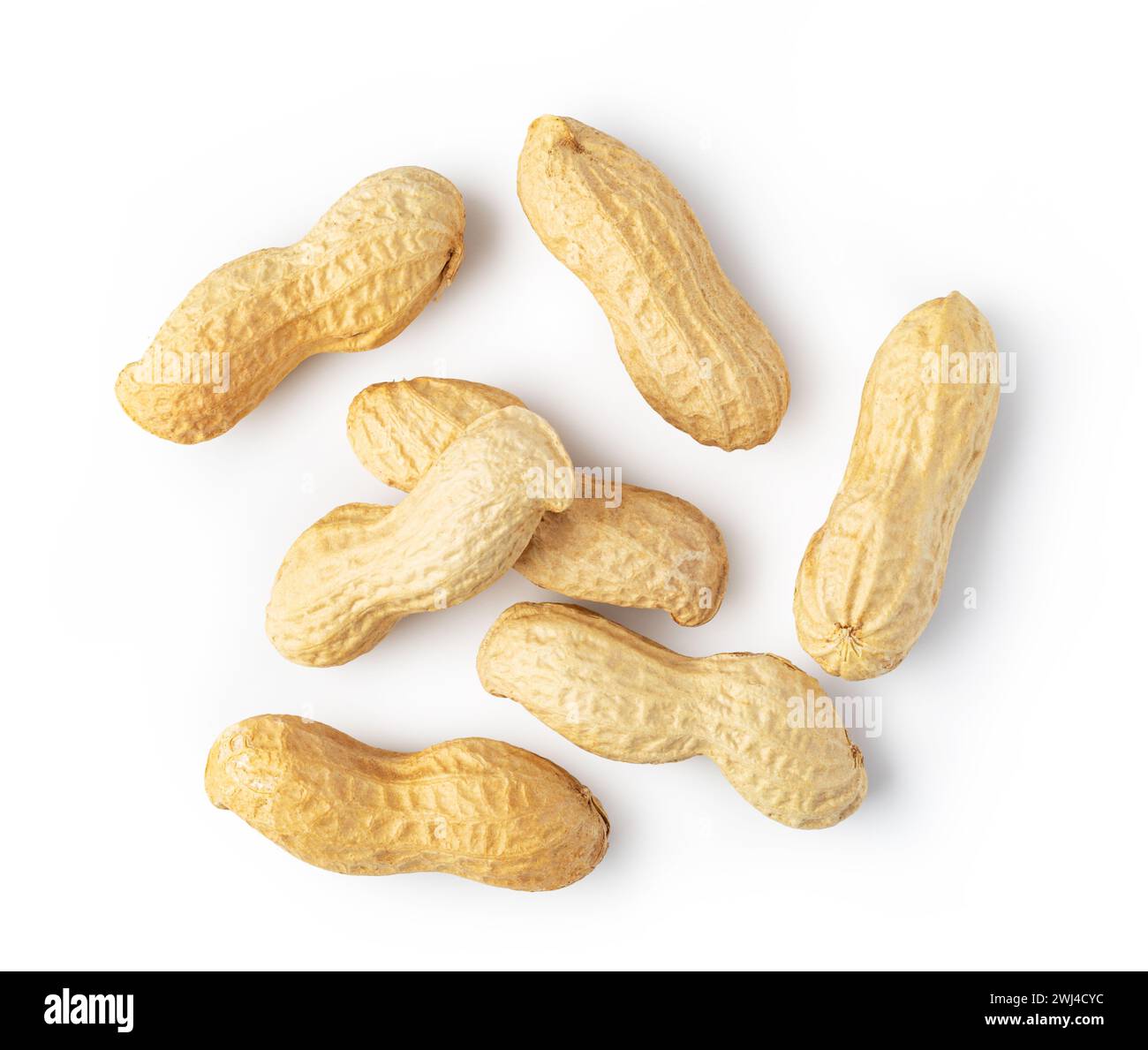 Peanuts on a white background Stock Photo