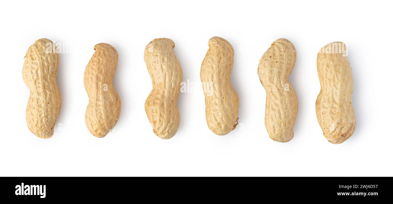 Peanuts on a white background Stock Photo