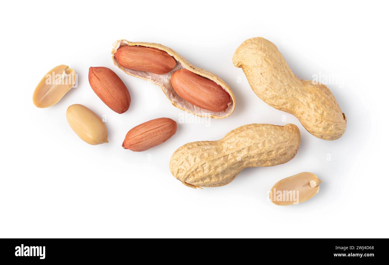 Peanuts on a white background Stock Photo