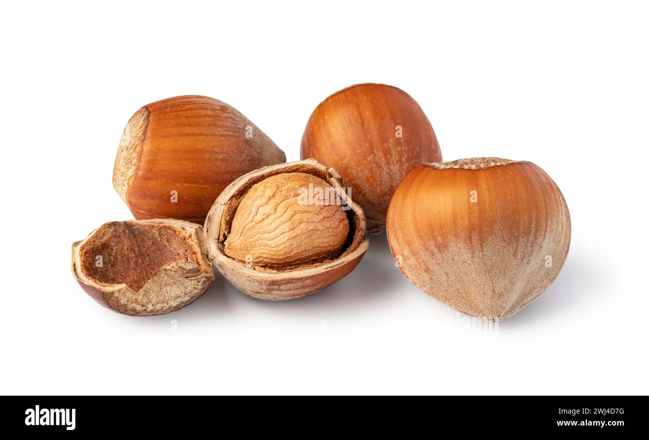 Hazelnuts on white background Stock Photo