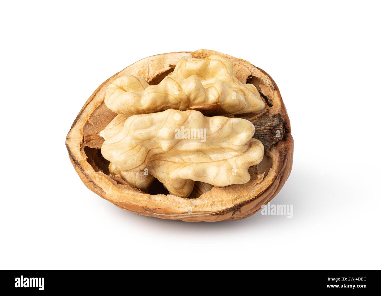 Walnut on white background Stock Photo