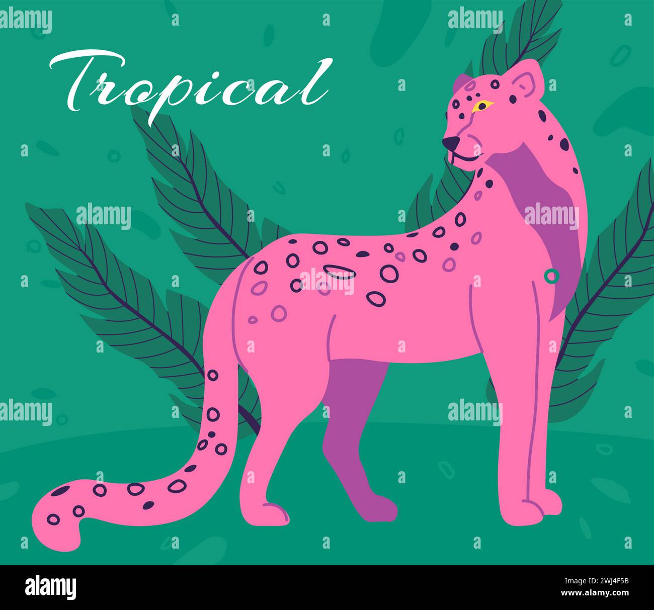Panther or cheetah, tropical fauna and mammals Stock Vector Image & Art