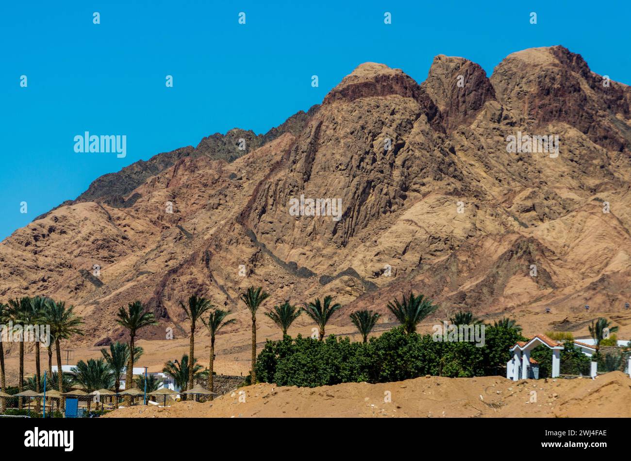 Timber Ridge Egypt Houses with trees and palm trees on the background of high mountains in ...