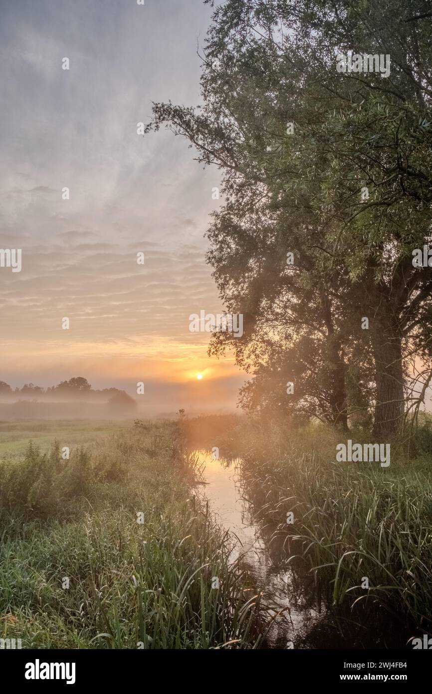 New day dawning hi-res stock photography and images - Alamy