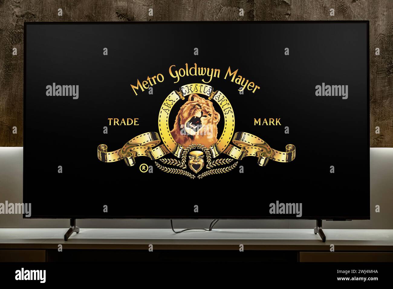 the MGM story 直輸入本 the MGM story 直輸入本 the MGM story 直輸入本 the MGM story 直