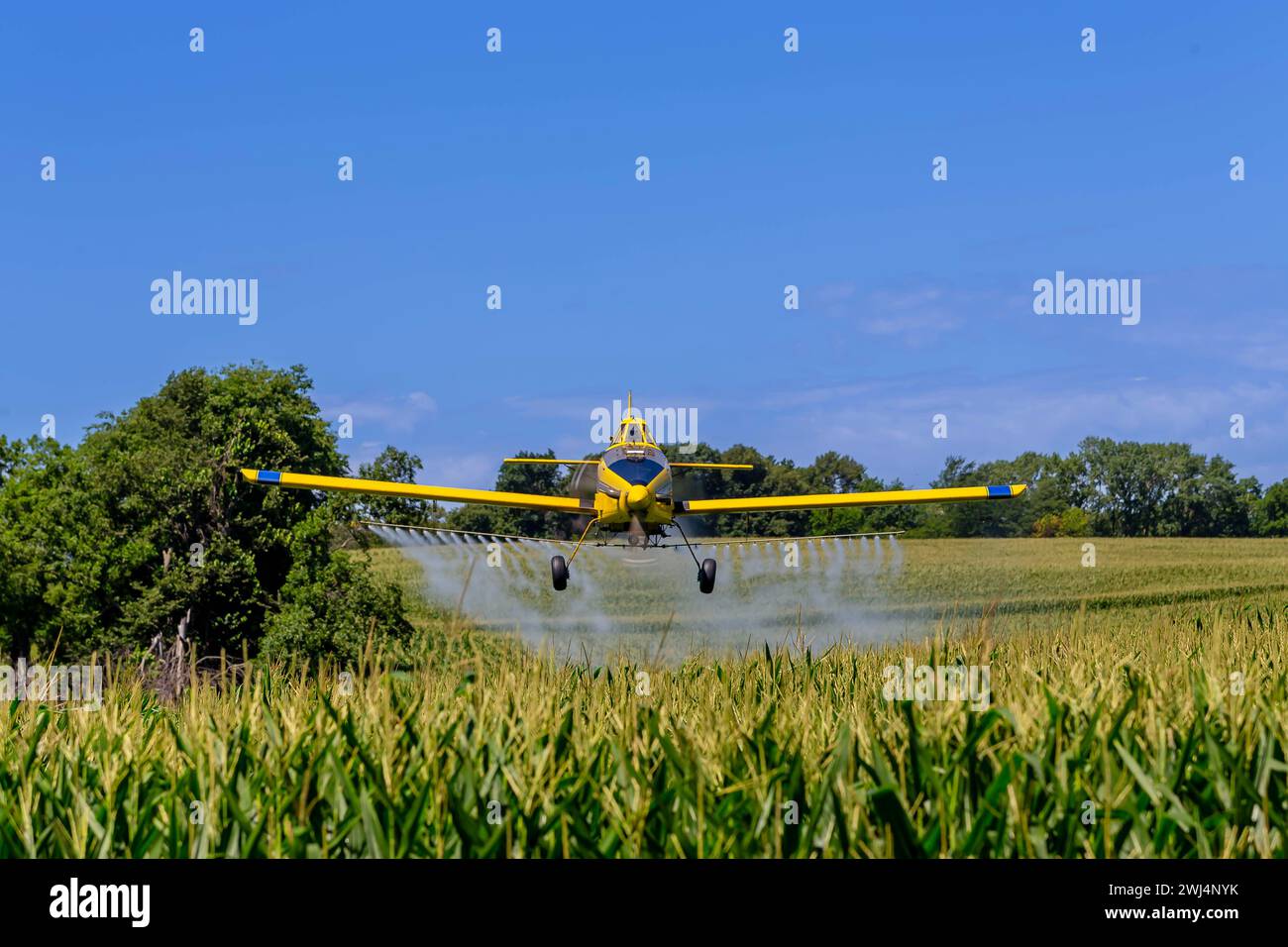 Skyward Guardians: Precision Pest Control by Low-Flying Crop Dusters Ensures Robust Fields and Healthy Crop Yields Stock Photo