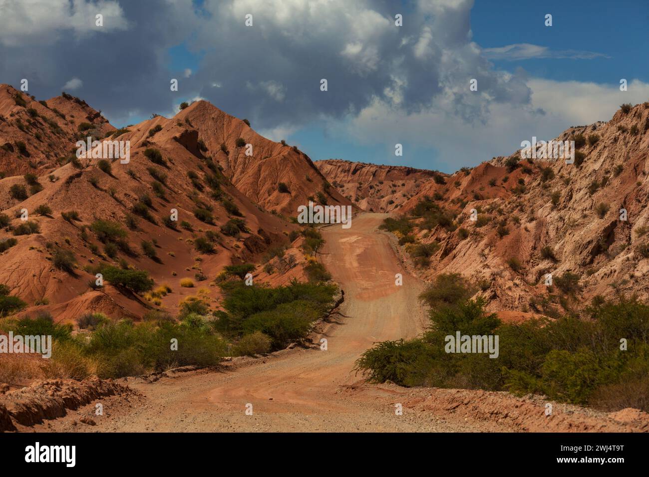 The Ruta Nacional 40 is the longest national road in Argentina and a