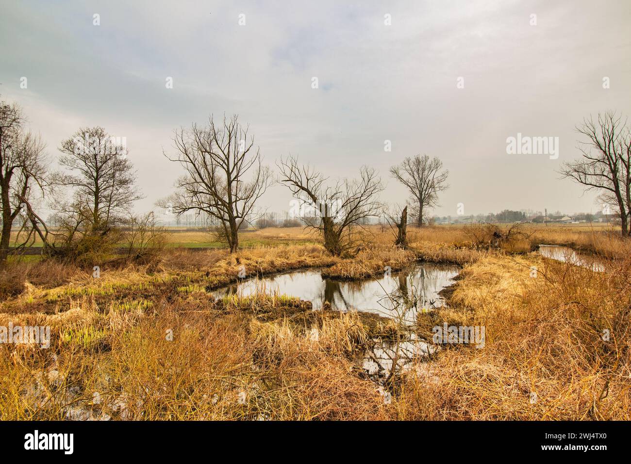 Flood wter hi-res stock photography and images - Alamy