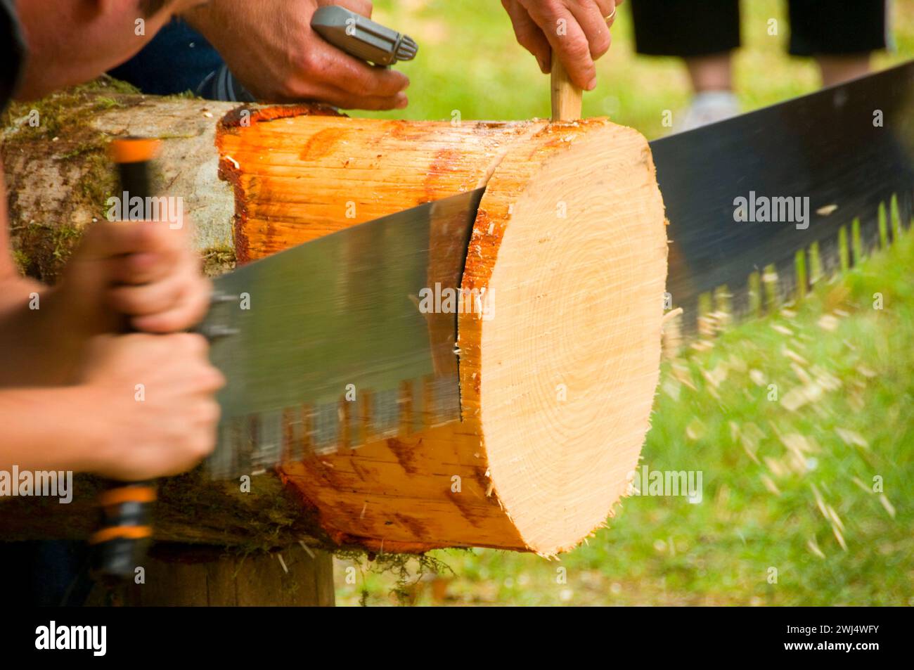 Double Bucking (sawing), Linn County Loggers' Jamboree, Linn County